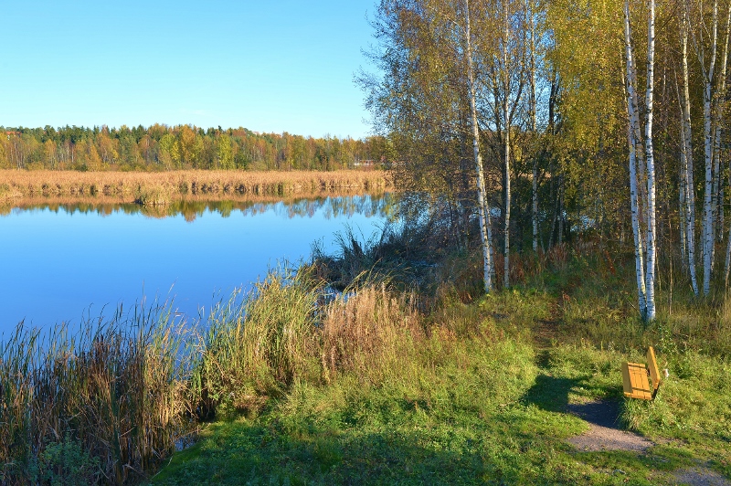 Lokakuun puolenvälin seurantakuva - Kuva: Tommi Heinonen