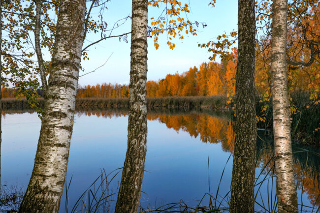 Peilityyni allas – Kuva Mehmet Cadiroglu Peilityyni allas - Kuva Mehmet Cadiroglu