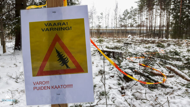 20161112_135933_-tuomas800px Puiden kaatoa Tiistilän metsässä - Kuva: Tuomas Heinonen