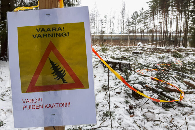 Puiden kaatoa Tiistilän metsässä - Kuva: Tuomas Heinonen