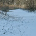 Kävelytie - Kuva Jukka Ranta