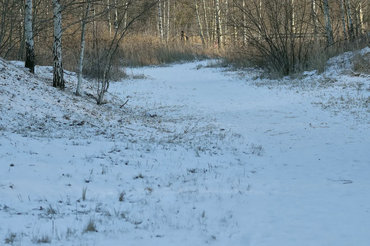 Kävelytie – Kuva Jukka Ranta Kävelytie - Kuva Jukka Ranta