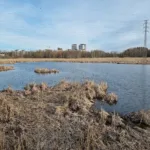 Hiljaisuus - Kuva Paul Stevens