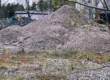 Pohdistamon kasa - Kuva Jukka Ranta