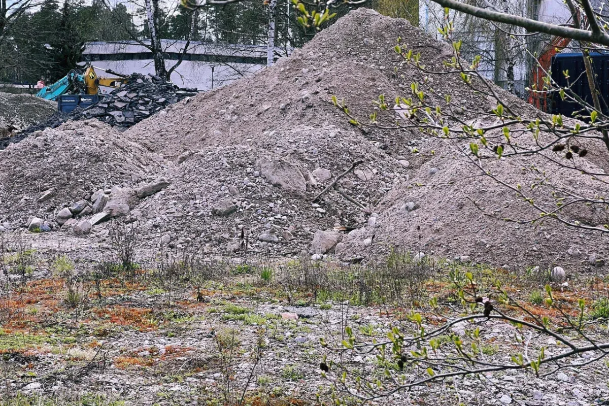 Pohdistamon kasa – Kuva Jukka Ranta Pohdistamon kasa - Kuva Jukka Ranta
