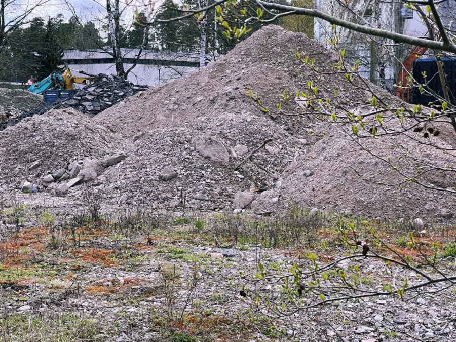 Pohdistamon kasa - Kuva Jukka Ranta