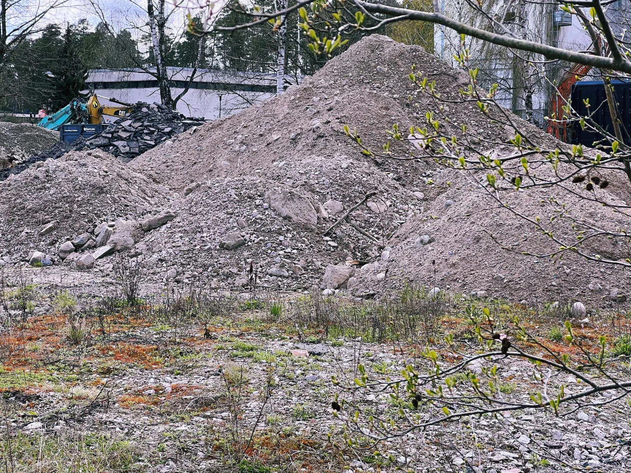 Pohdistamon kasa - Kuva Jukka Ranta