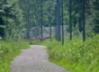 Puhdistamoalue - Kuva Jukka Ranta