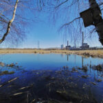 Allas koivikon edessä - Kuva Jukka Ranta