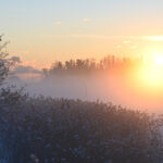 Auringon paiste oli ihmettelyn kohde - Kuva Tommi Heinonen