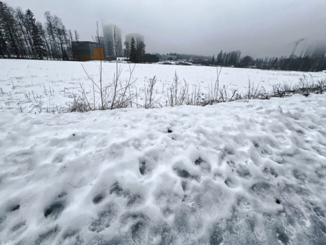 Finnoon keskuksen aluetta – Kuva Jukka Ranta Finnoon keskuksen aluetta - Kuva Jukka Ranta