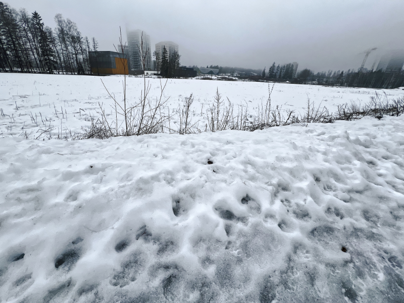 Finnoon keskuksen aluetta – Kuva Jukka Ranta Finnoon keskuksen aluetta - Kuva Jukka Ranta