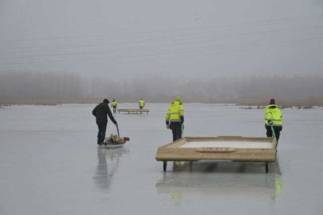 Finnoon lokkilautta – Tommi Heinonen2 Finnoon lokkilautta vedetään jäälle - Kuva: Tommi Heinonen