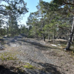 Finnoonkalliolla - Kuva: Tommi Heinonen