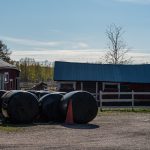 Talleilla menossa uudistus - Kuva Paul Stevens