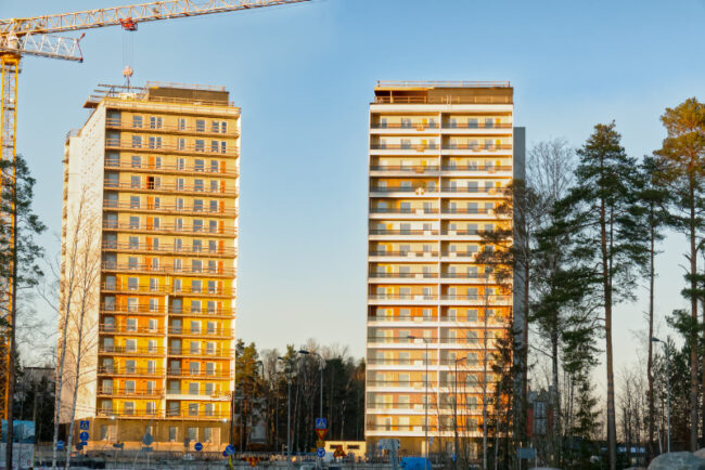 Lintualtaan vartijat – Kuva Jukka Ranta Lintualtaan "vartijat" - Kuva Jukka Ranta