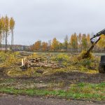 Puiden kaatoa Syväsalmenkadun varrella - Kuva: Paul Stevens