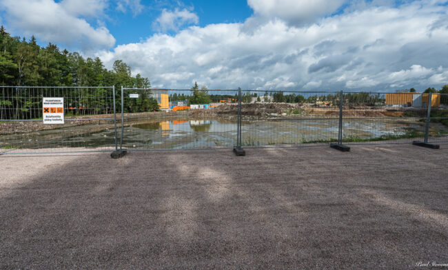 Monttu Lokkimonttu - Kuva Paul Stevens