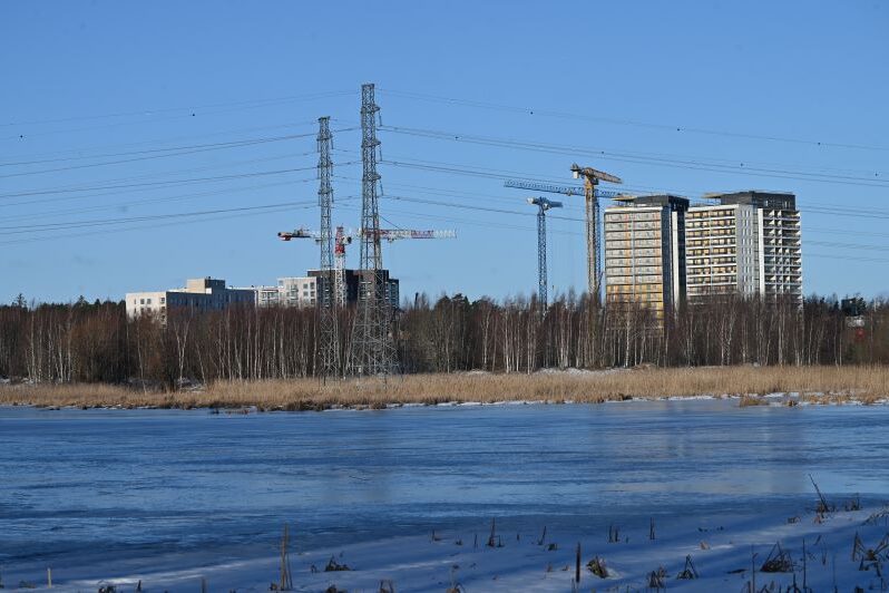 Muuttunut näkymä lintualtaalta - Kuva Tommi Heinonen