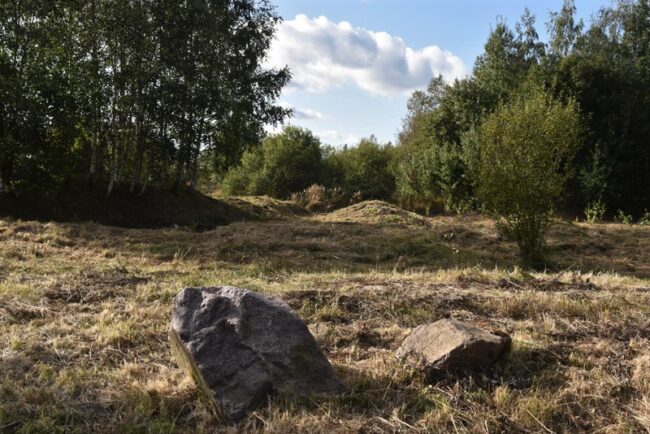 Raivattu uusi niitty.-Tommi Heinonen Raivattu uusi niitty.-Tommi Heinonen