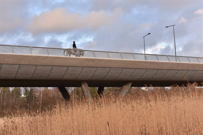 ratsastaja-tommi Finnoon valtatiellä on ruuhkaa - Kuva: Tommi Heinonen