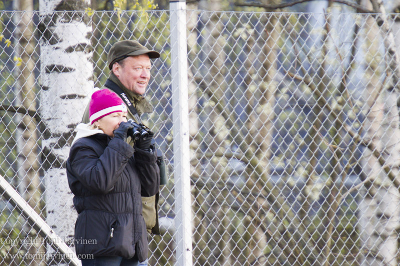 Suomenoja_tomijarvinen_20140506 (2 of 11)