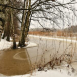 Tulva - Kuva Tommi Heinonen