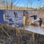 Uusi teline - Kuva Jukka Ranta