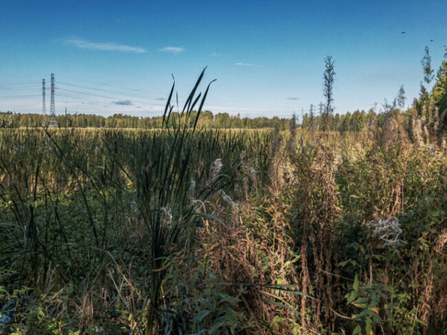 allas-kulma_ LR0275-hdr_app_jukkar Altaan kaakonkulma - Kuva: Jukka Ranta