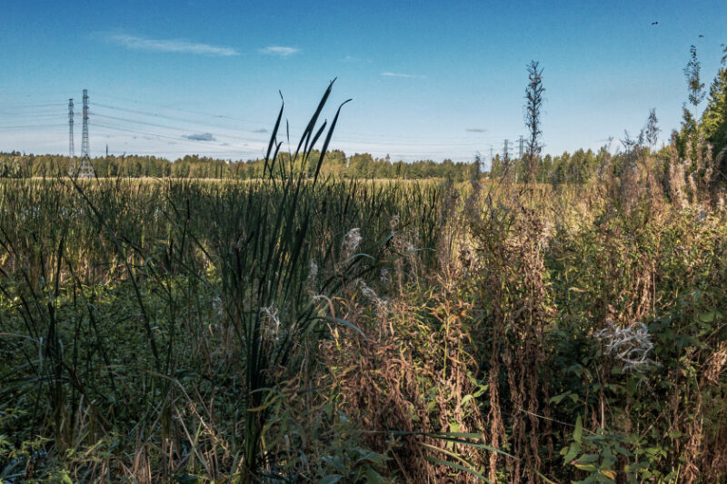 Altaan kaakonkulma - Kuva: Jukka Ranta