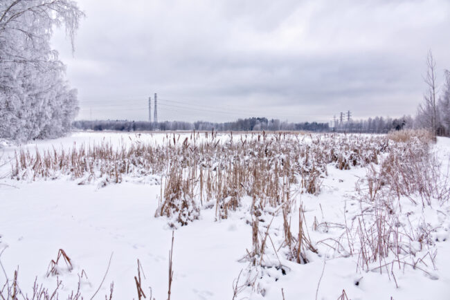 allas_4648rx10d_ap_jukkar Altaan kaakonkulma lumisateen jälkeen - Kuva Jukka Ranta