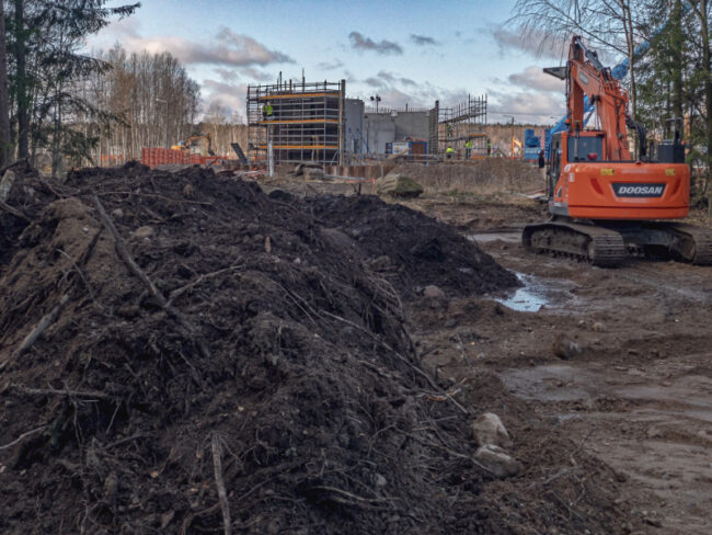 aukko-lmetsa_Lr0391-hdr_lrapp_jukkar