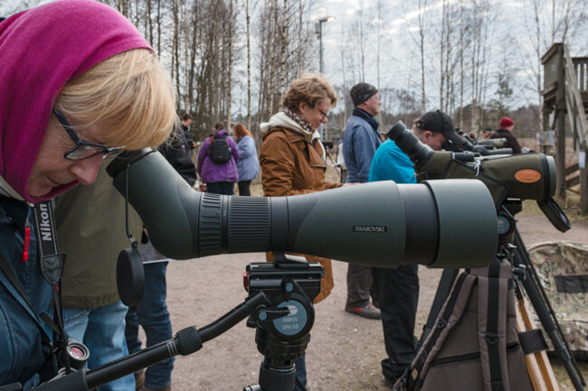 harrastust_0680s2_jukkar