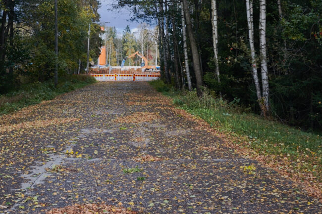 hluodontie_2176t_c1_jukkar