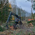 Puiden kaatoa puhdistamon metsässä - Kuva: Jukka Ranta