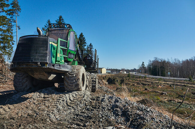 mt-fisilta-puut_6908rx10_c1_jukkar Puut Bois - Kuva: Jukka Ranta