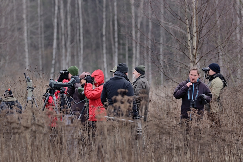 Mustaleppälinti sai osakseen huomiota - Kuva: Jukka Ranta