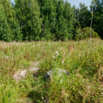 Ruderaatin niittoalue - Kuva Jukka Ranta