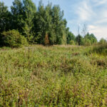 Ruderaatin niittoalue - Kuva Jukka Ranta