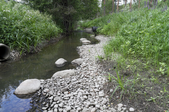 puro-suna_8809e3_jukkar