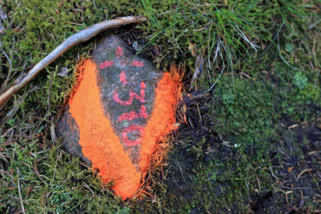 rpaikka-merkki_2629a_c4ap_jukkar Merkintä kivessä ruokintapaikalla - Kuva Jukka Ranta