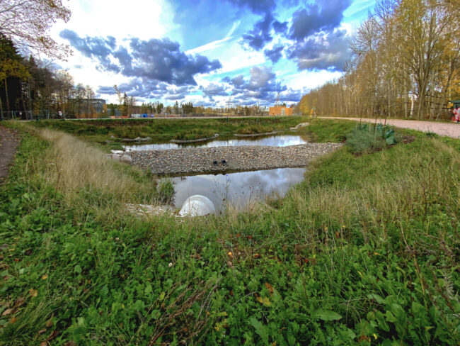 tm-allas_iPpro-3359_app_jukkar Hulevesiallas - Kuva Jukka Ranta