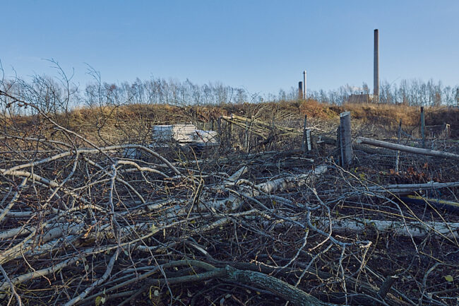 tmaki-puunkaato_6094t_c1_jukkar Täyttömäki parturoitiin - Kuva: Jukka Ranta