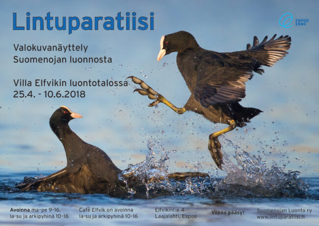 Juliste: Katri Luukkonen/Villa Elfvik, julisteen kuva: Tuomas Heinonen