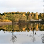 Tulvaniitty - Kuva: Tommi Heinonen