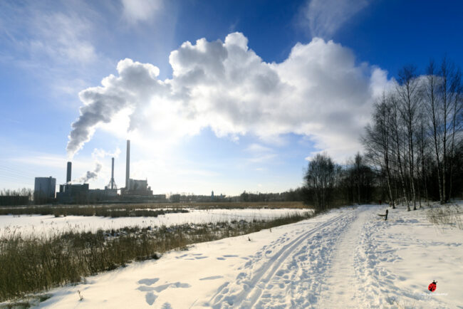 Teema - Suomenojan Vuosi