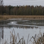 Kyhmyn väylät - Kuva: Paul Stevens