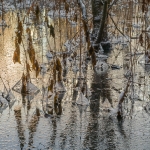 Lauantaina oli maisema talvinen - Kuva: Paul Stevens